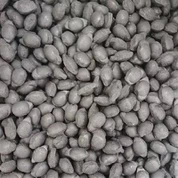 Manganski briketi